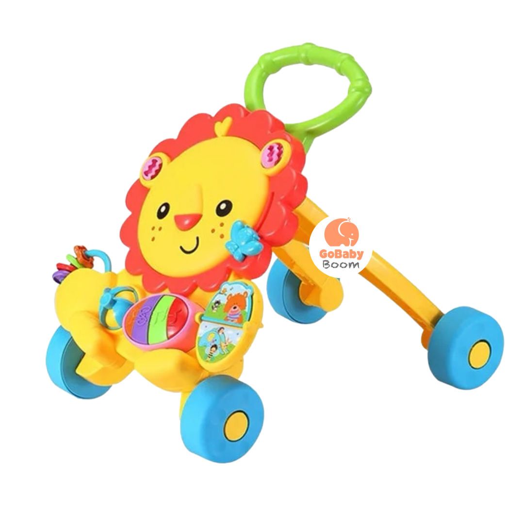 Caminador Andadera Piano Walker