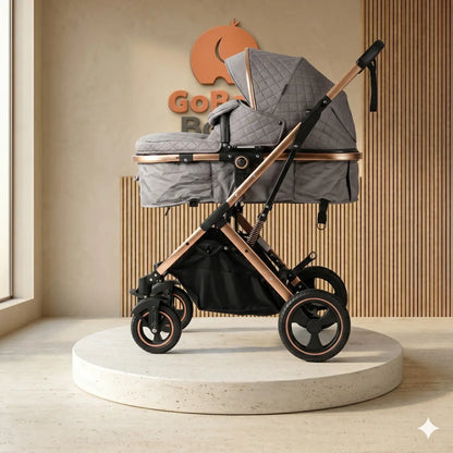 Coche Moises para bebe Homero