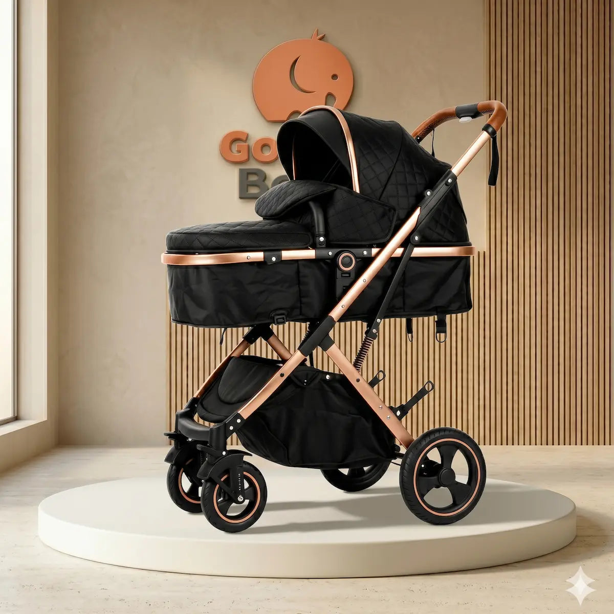 Coche Moises para bebe Homero