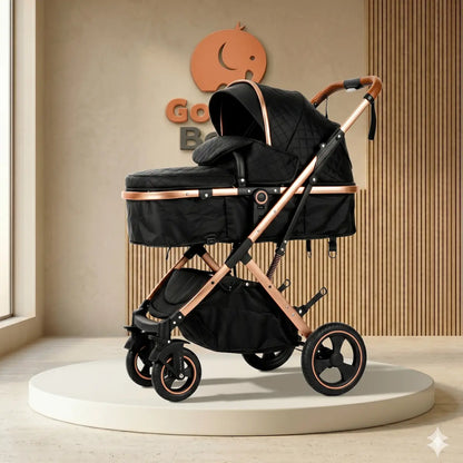 Coche Moises para bebe Homero