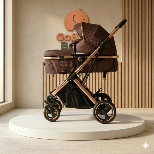Coche Moises para bebe Homero