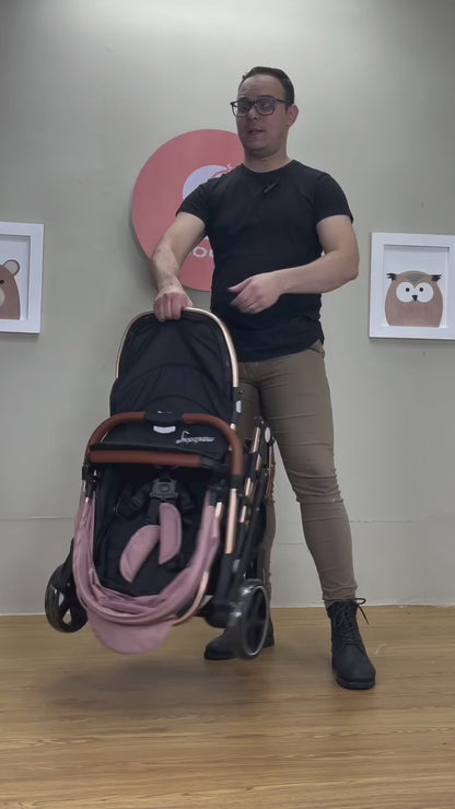 Coche Moises Small Maxibaby